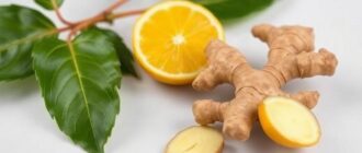Имбирь и водно‑солевой баланс: как пряность влияет на организм